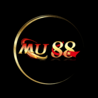 custom_website