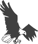 custom_website