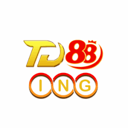 custom_website